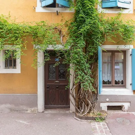 Apartment Travel Homes -the Cigogne, Quiet & Heart Of Colmar